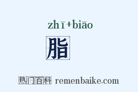 脂臕是什么意思的图片